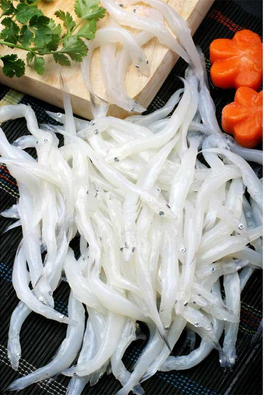 广水徐家河银鱼做法,广水徐家河有银鱼吗