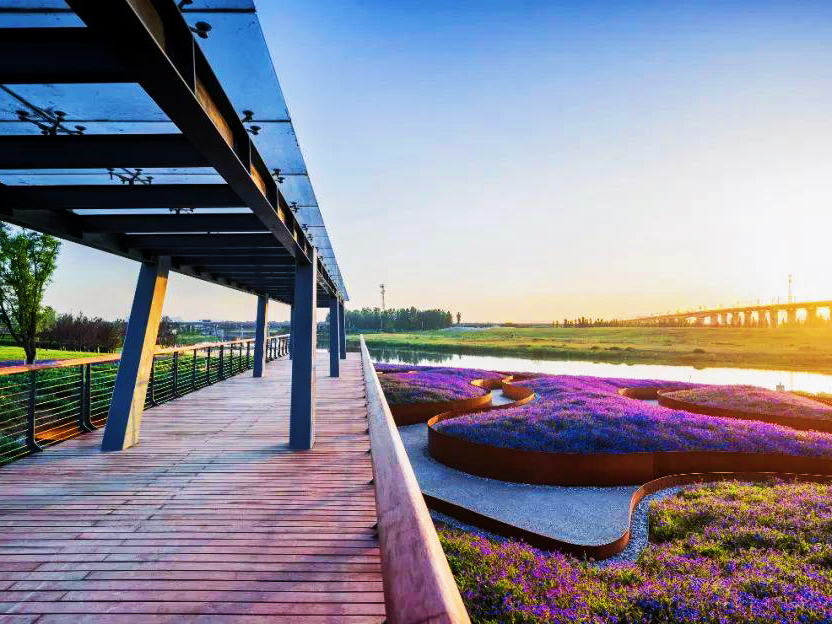 西安最新湿地公园,西安国家湿地公园