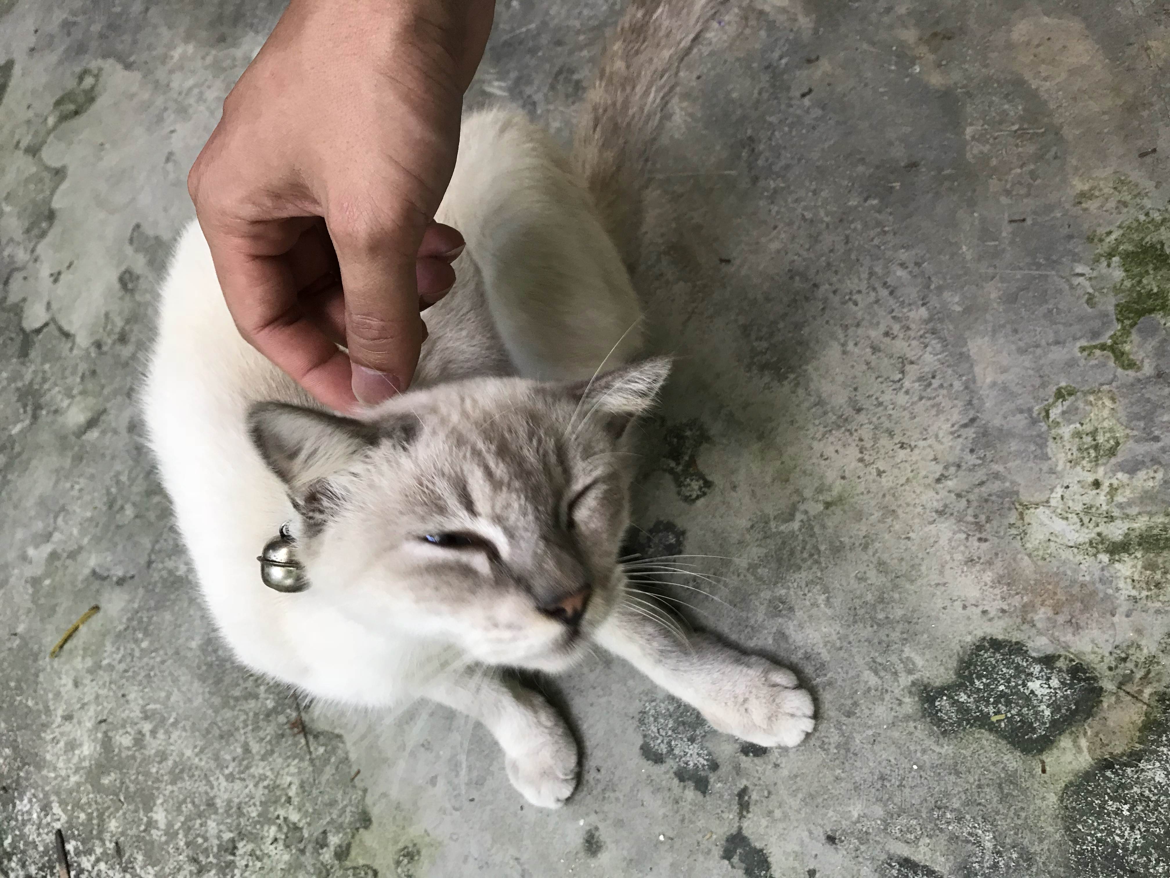 第一次去泰国旅游需要带什么,第一次到泰国旅游需要带什么