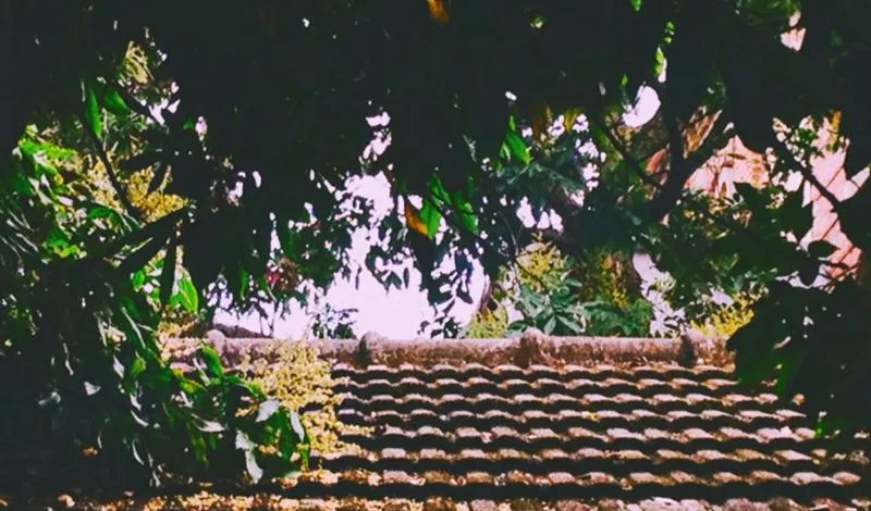 小孩脾胃虚最快的恢复办法,孩子脾胃虚瘦怎么调理