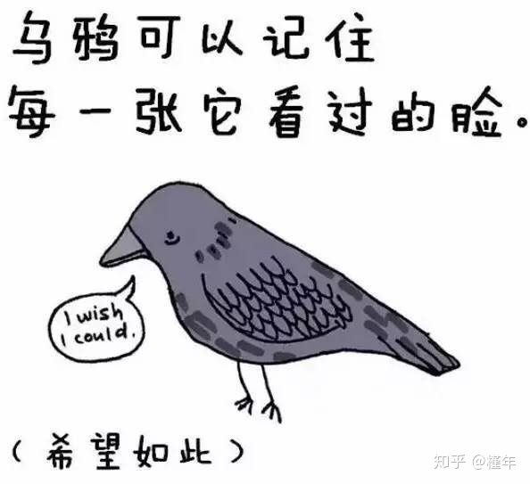 想象中不一样的动物冷知识,悲伤的动物视频