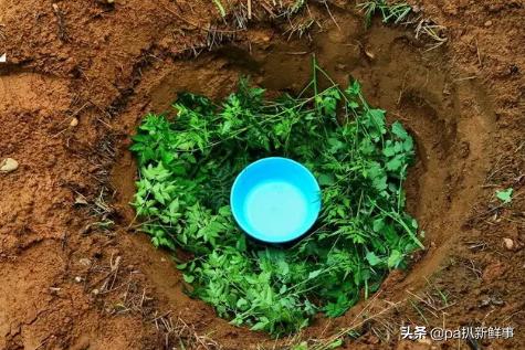 户外探险取水视频教程,户外探险必备十大技能