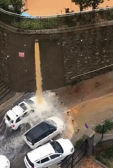 每日一笑看完你能不能忍住不笑,每日一笑看了让你笑