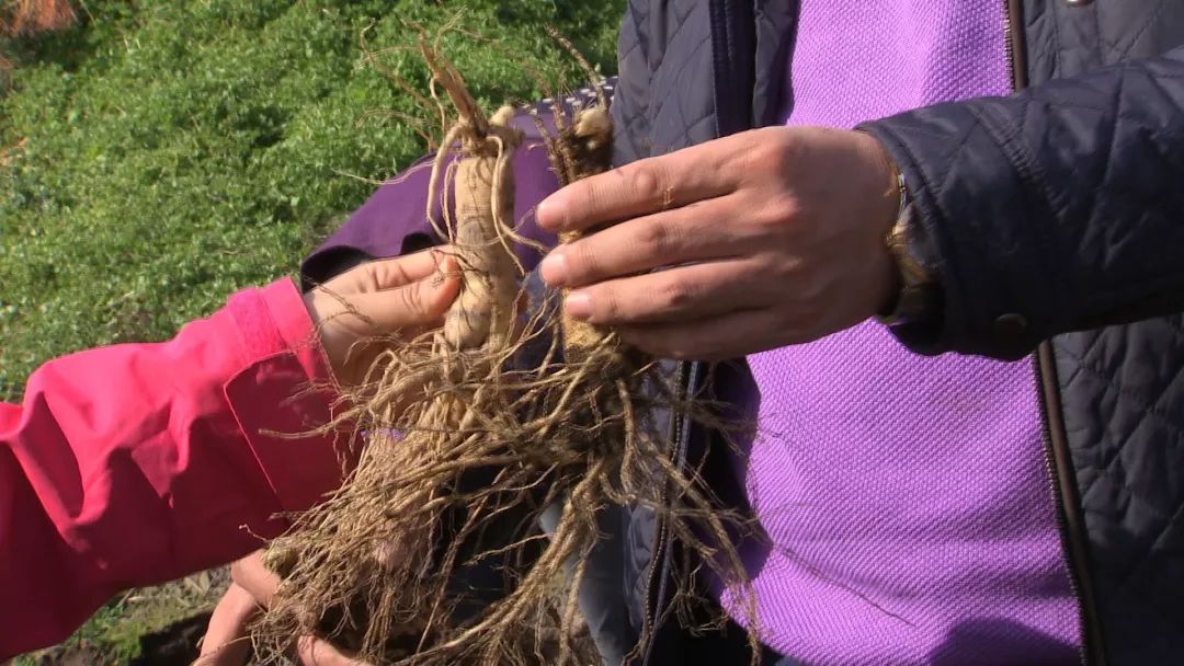 他用9年颠覆一个行业模式，获得千万财富的背后竟是因为花样折腾