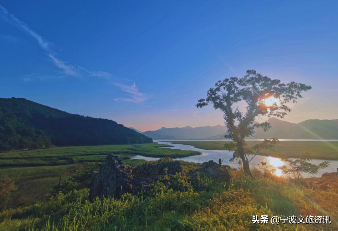 新桥玩的地方,新桥有哪些可以游玩的地点