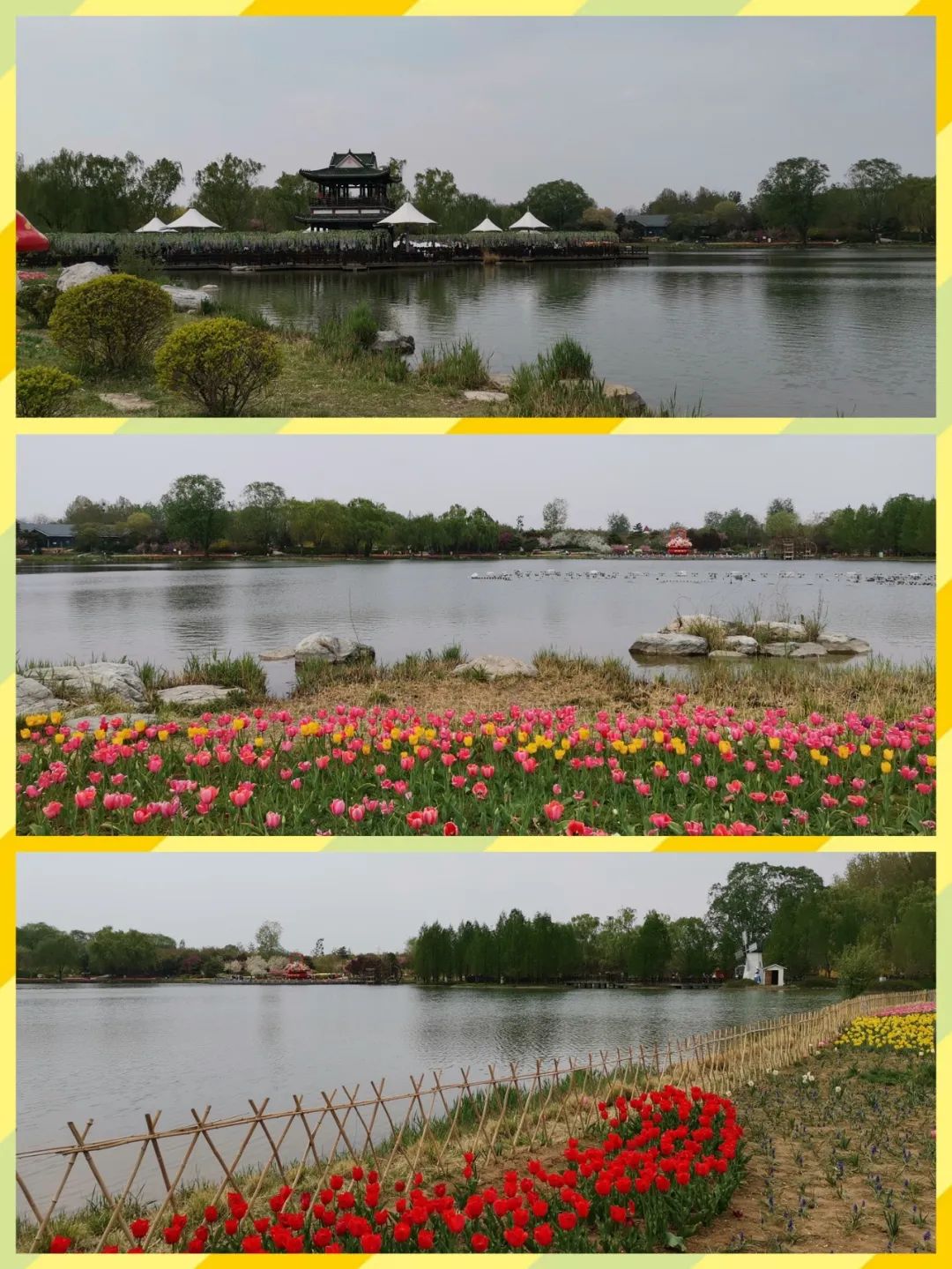 假装在国外北京篇,假装在荷兰完整视频