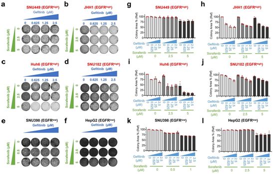 乐伐替尼natco验证,乐伐替尼治愈肝癌实例