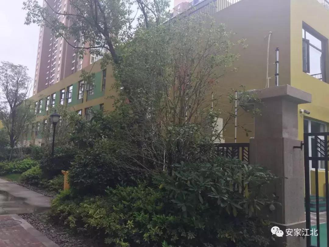 江北烂尾楼最新消息,实拍江北鬼城烂尾楼