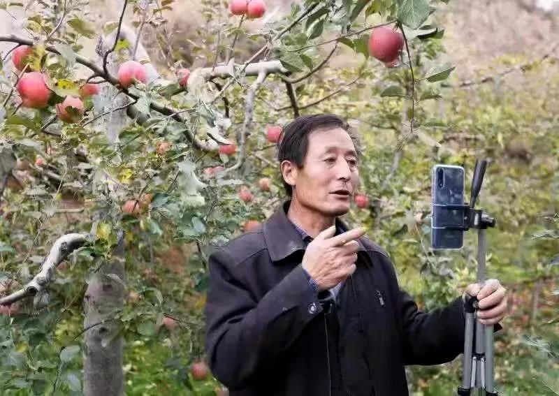 甘肃陇南徽县电商产品,陇南电商白皮书