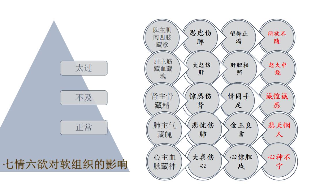 对股骨头缺血性坏死疼痛的治疗体会