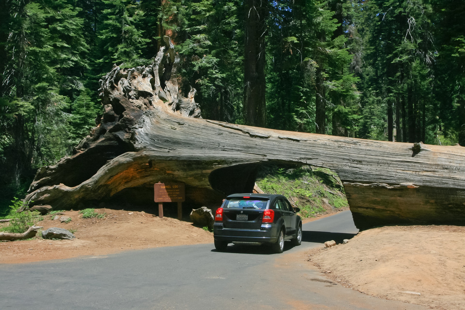 加州十大景观自驾线路,加州景点打卡攻略大全