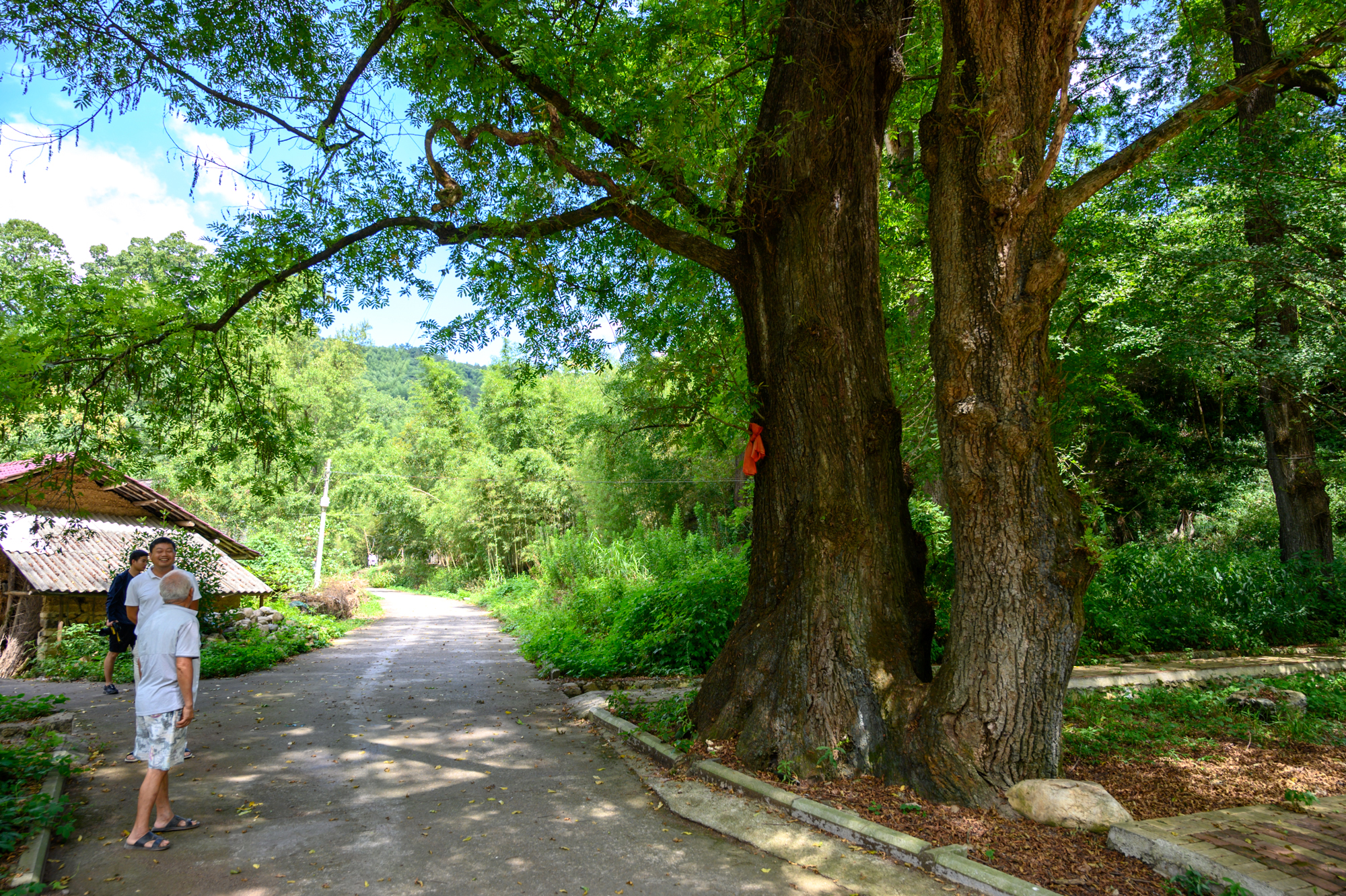 安徽宁国有哪些旅游景点,安徽宁国旅游必去十大景点有哪些