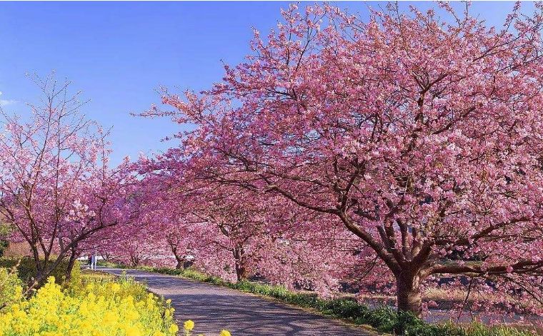 北京郊游去的民宿,北京郊游民宿