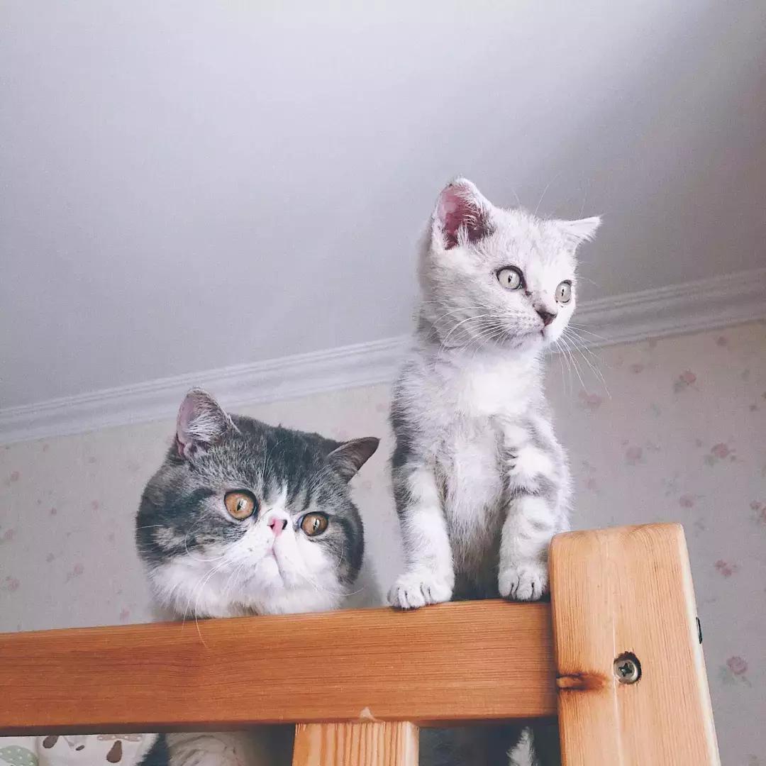 入手礼丨小礼物找妈妈，快递终于到了家