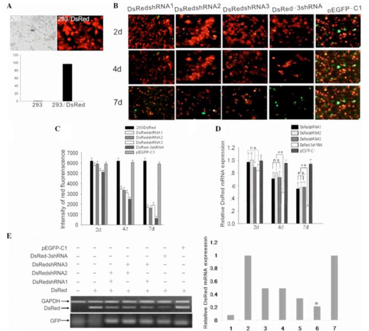实验总是做不好怎么办,实验难做怎么办