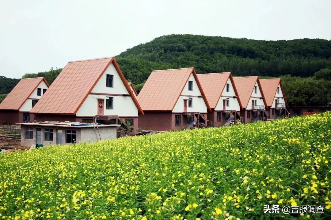 吉尼斯之最,吉尼斯之最视频