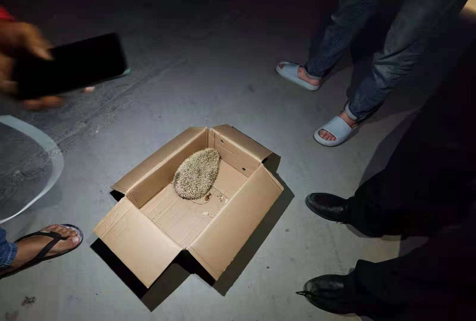 cop15小故事,cop15挑战赛知识点