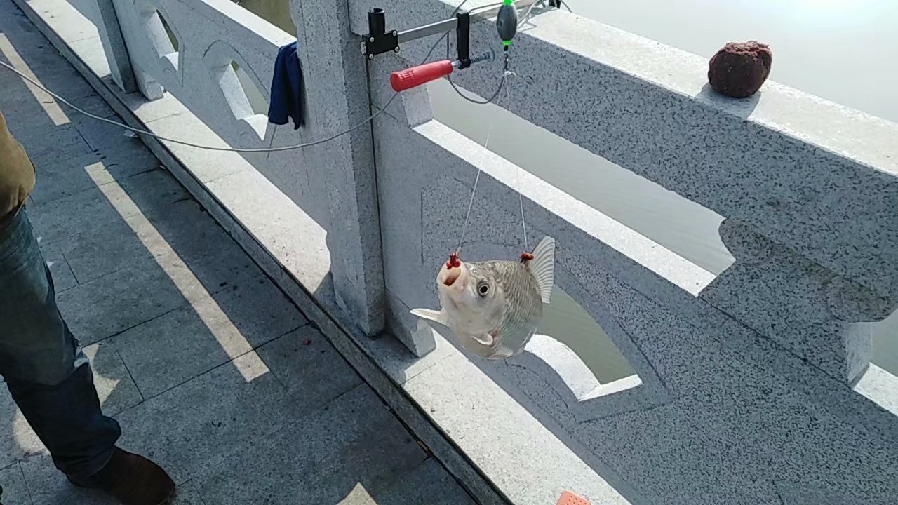 被质疑“有害”的红虫，却受隆宠！红虫逗钓有方，细节问题要防