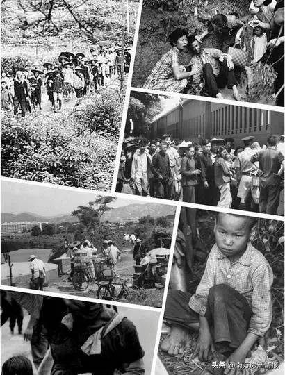 五十年前，他冒死从深圳湾游到香港，现在他后悔了