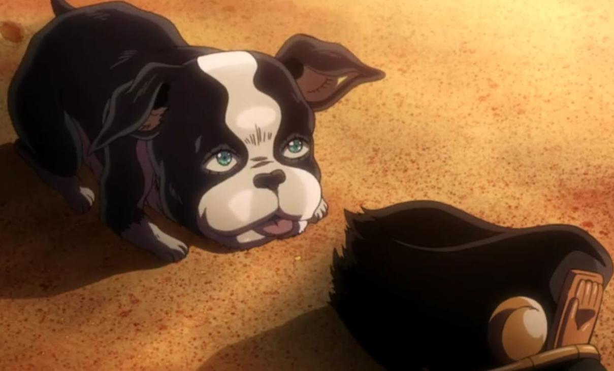 jojo承太郎不戴帽子,jojo第四部承太郎的帽子变化