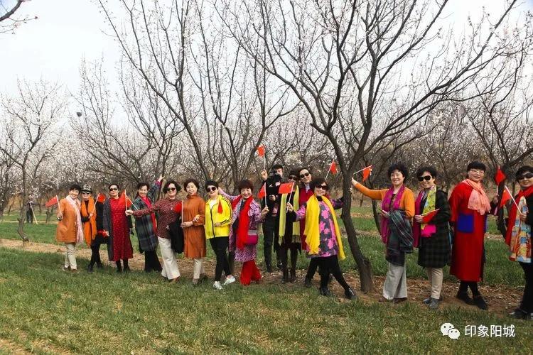 晋城哪里可以春游,晋城附近春游景点