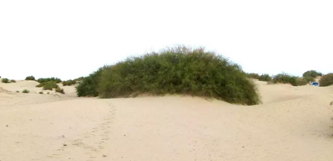 荒芜之地有裂隙么,荒芜之地好玩吗