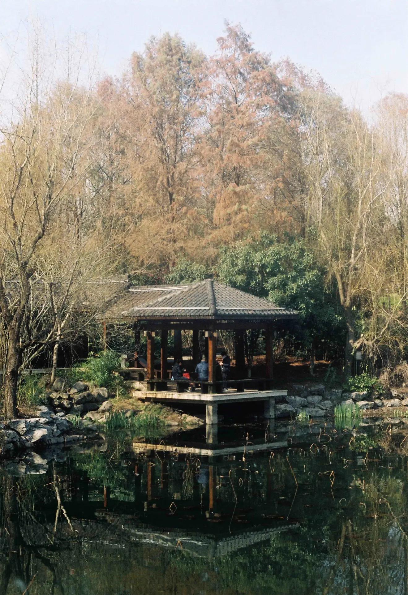 是谁发明了彩色相机,康泰时相机发展史