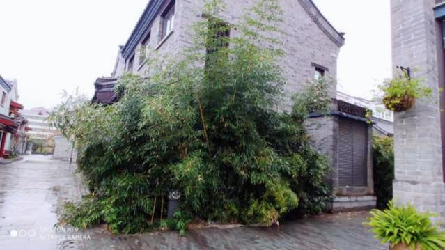 寸土寸金新东关守住临沂根，古色古香沂州里传承沂蒙魂