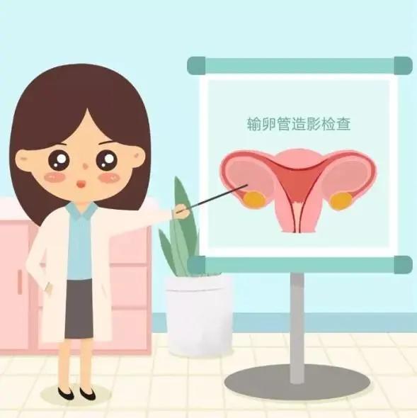 输卵管检查通液和造影的区别,检查输卵管是否通