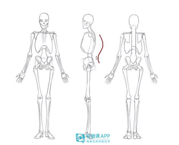 人物原画教程零基础,原画人体如何选色