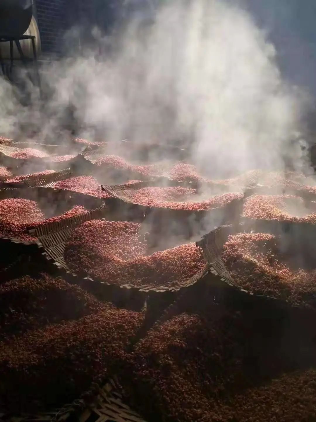酌古准今,酌古准今的解释