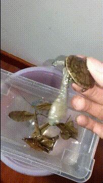 把中间的门店租下来取什么名字好,租下门面不知道取什么名字