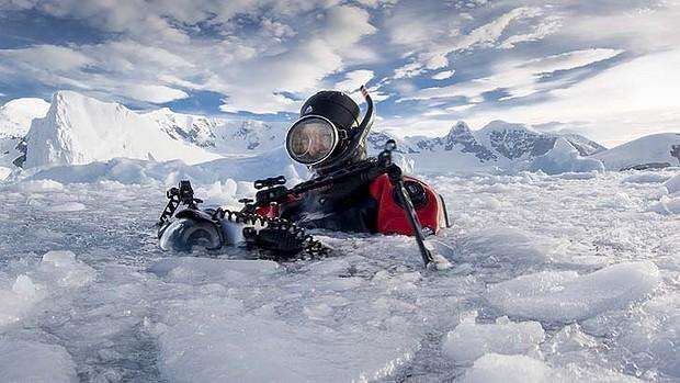 地球妈妈生病了故事,地球变暖冰川融化企鹅