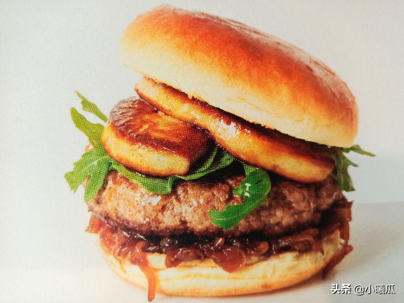 汉堡包是健康食品还是垃圾食品,汉堡包是不是有害食品