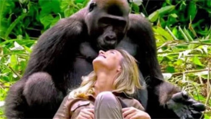 男女是如何产生下一代的,男女之间是怎样产生后代的