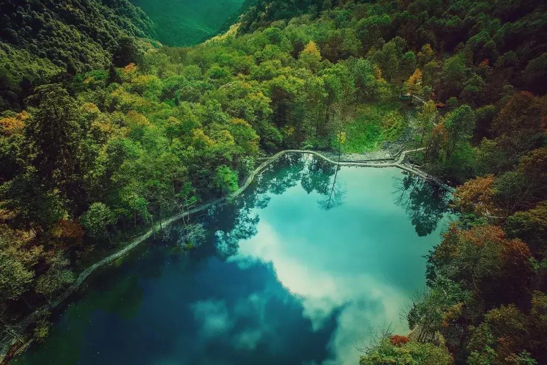 成都自驾百里杜鹃旅游攻略,万亩杜鹃花在青山幽谷