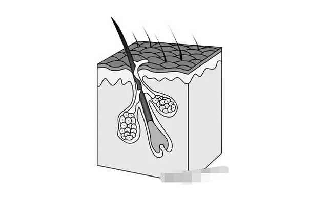 控油缩小毛孔用什么药膏,如何改善毛孔出油多