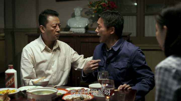 父母爱情评分高的原因,父母爱情电视剧的诟病