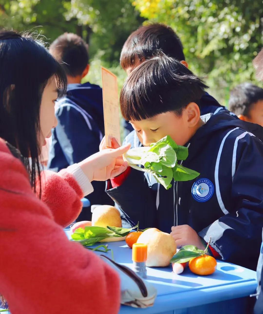 南京比较好的小学学校排名,南京名校小学最新排名