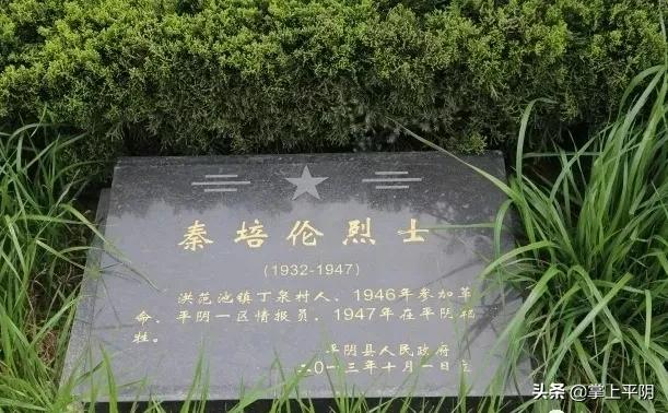 平阴英烈熊善隆,平阴安城英烈名单