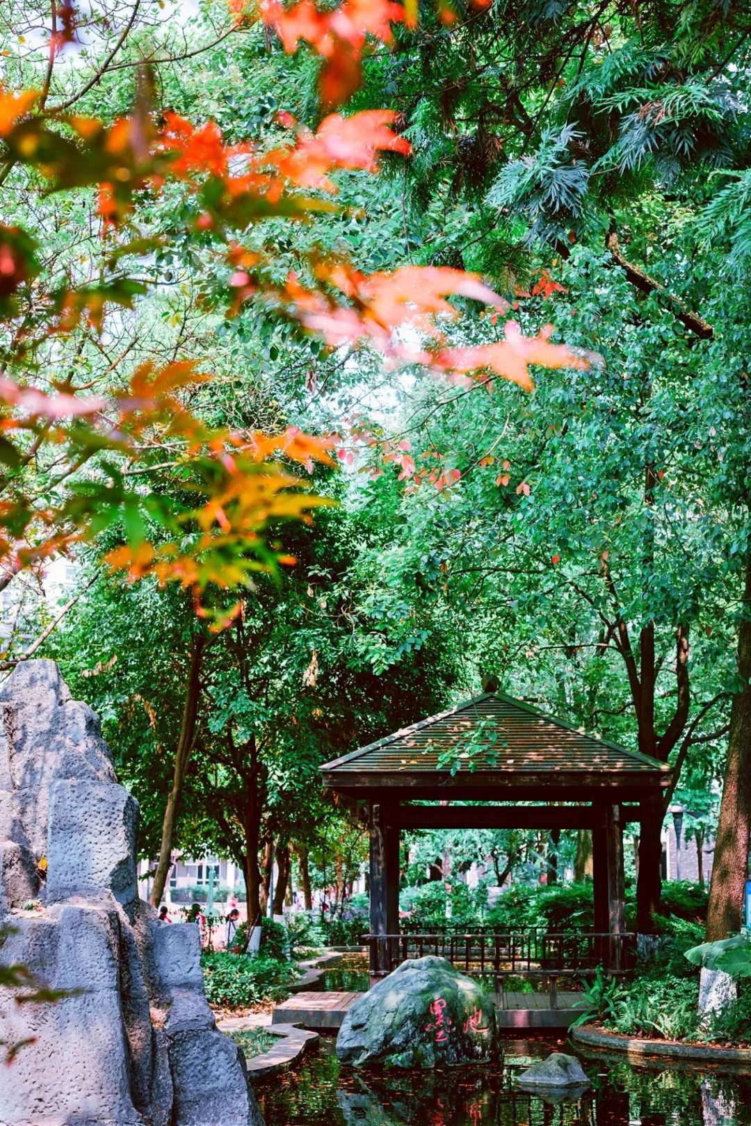 成都四七九小联中,成都四七九中简介