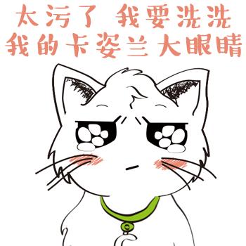 你不知道的猫咪事情,你不知道的猫咪睡姿大揭秘