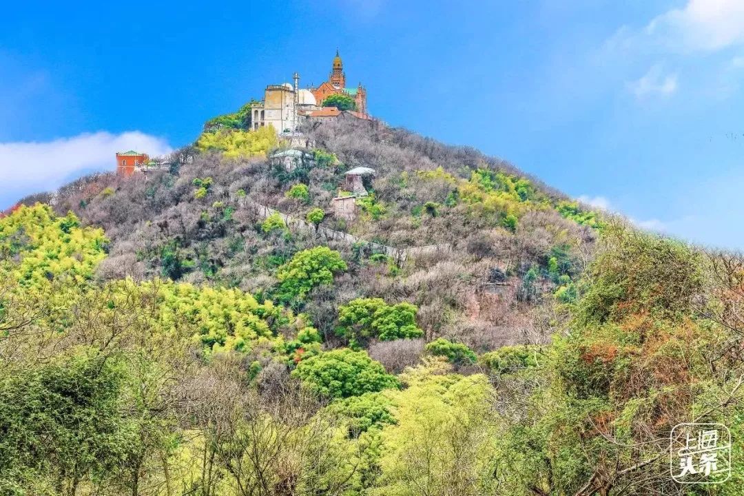 生日当天上海免费景点,上海网红打卡地点景点免费