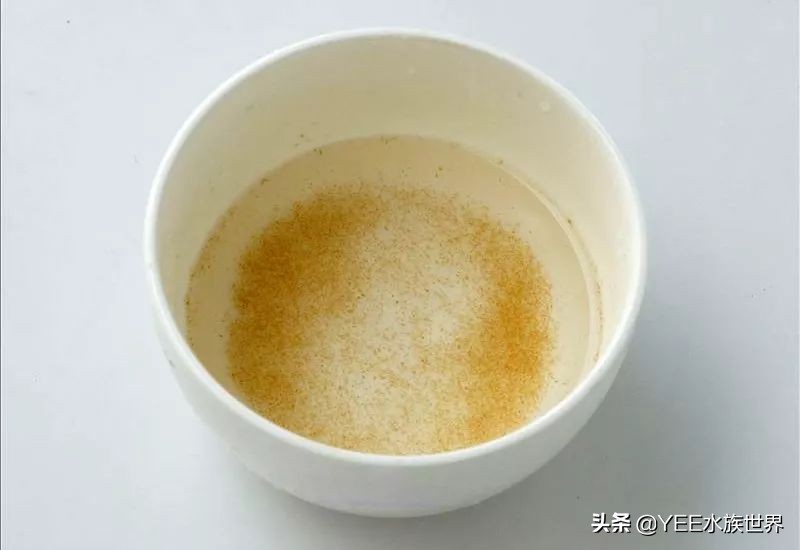 观赏鱼能吃的活食,观赏鱼是喂活食好还是饲料好