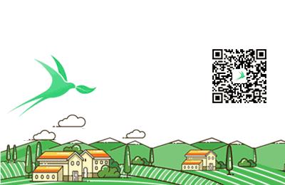 怎样在纸上种菜,纸上种菜的技术很简单