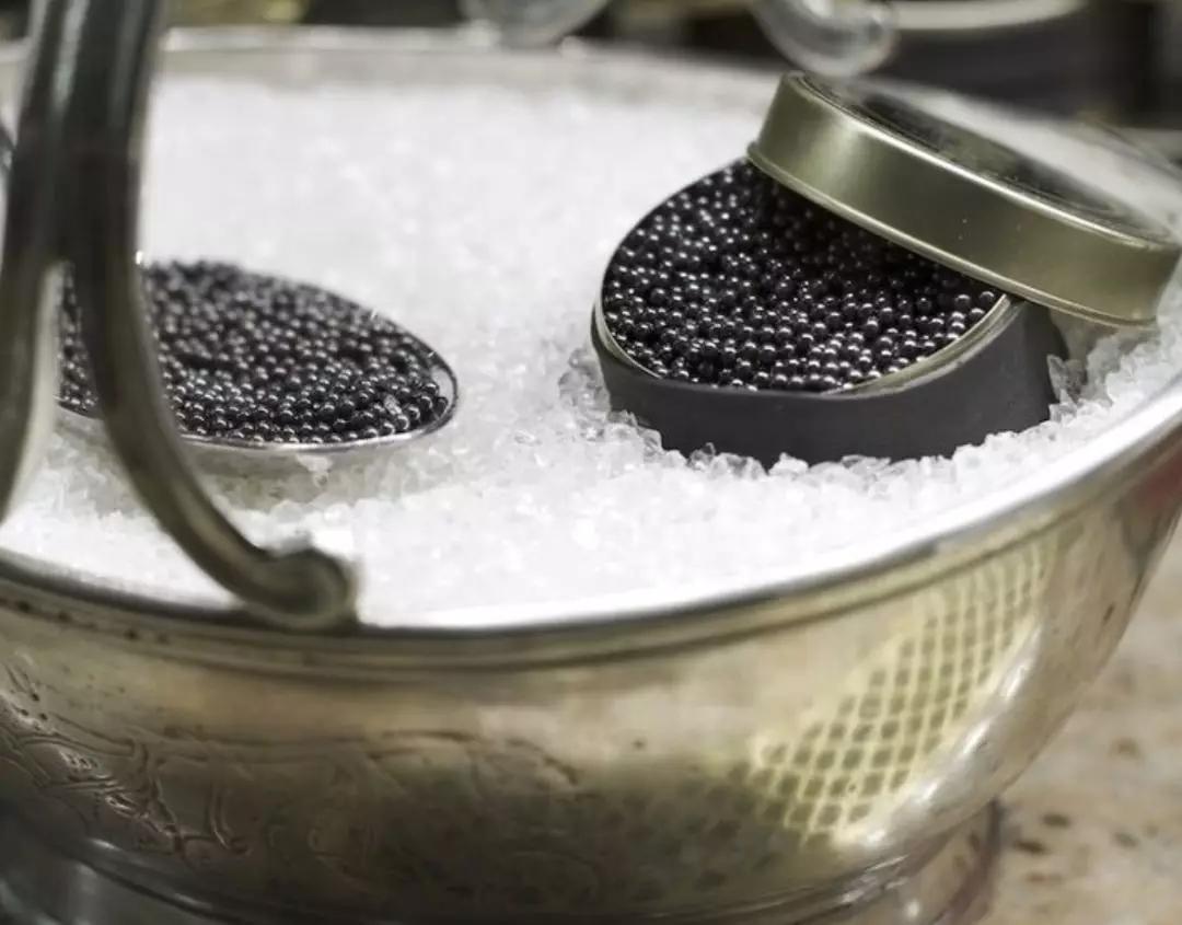 鱼子酱冷知识大全,世界三大珍馐鱼子酱制作方法