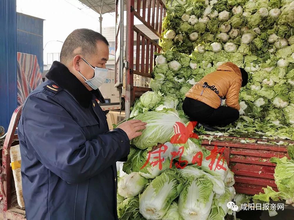 请淡定txt免费,疫情期间咸阳菜篮子