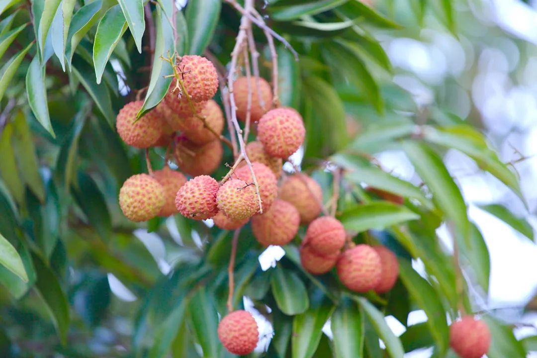 霸屏央视55分钟,霸屏30秒央视