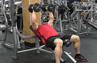 在健身房怎么练出胸肌,朝阳健身房胸肌腹肌训练器械