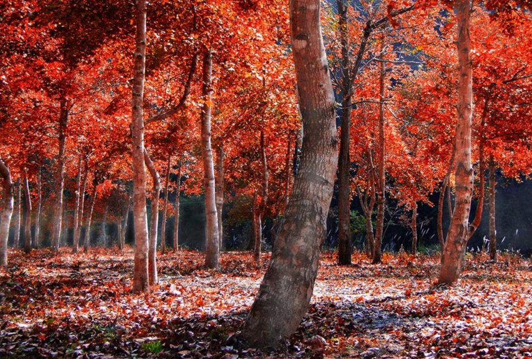 湖南第一家国家石漠公园,中国第一个国家森林公园张家界